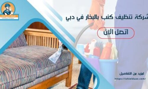 شركة تنظيف كنب بالبخار في دبي