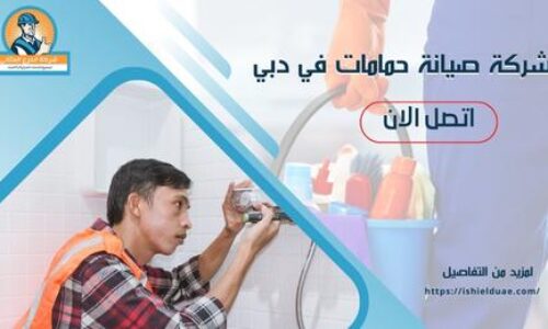 شركة صيانة حمامات في دبي