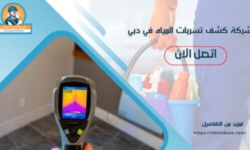 شركة كشف تسربات المياه في دبي