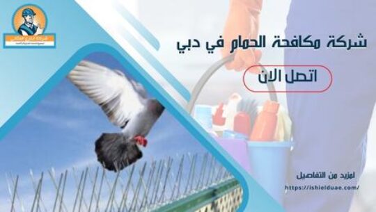 شركة مكافحة الحمام في دبي