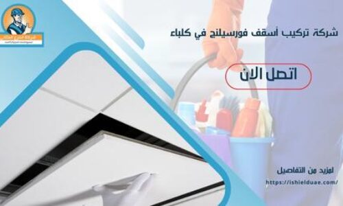 شركة تركيب أسقف فورسيلنج في كلباء