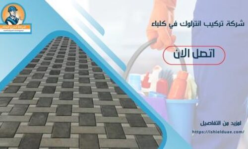 شركة تركيب انترلوك في كلباء