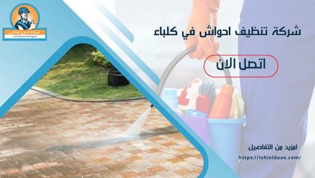 شركة تنظيف احواش في كلباء