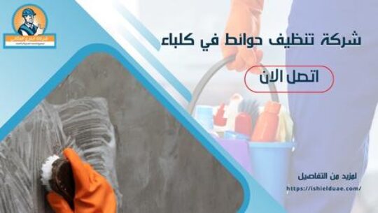 شركة تنظيف حوائط في كلباء