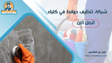 شركة تنظيف حوائط في كلباء