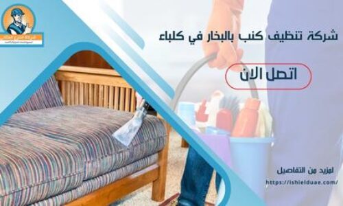 شركة تنظيف كنب بالبخار في كلباء