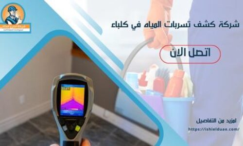 شركة كشف تسربات المياه في كلباء