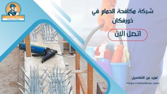 شركة مكافحة الحمام في خورفكان
