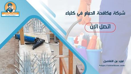 شركة مكافحة الحمام في كلباء