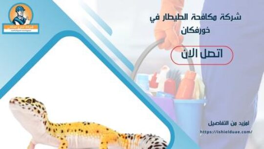 شركة مكافحة الطيطار في خورفكان
