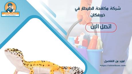 شركة مكافحة الطيطار في خورفكان