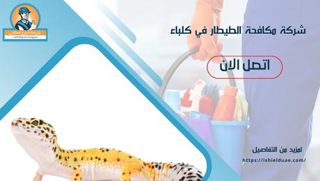 شركة مكافحة الطيطار في كلباء