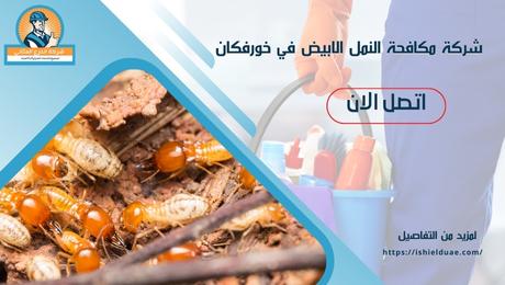 شركة مكافحة النمل الابيض في خورفكان