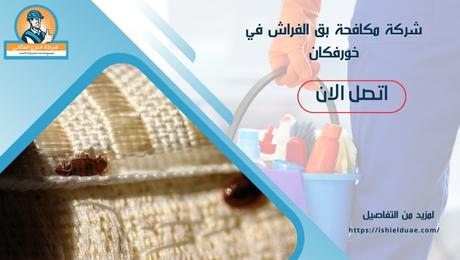 شركة مكافحة بق الفراش في خورفكان