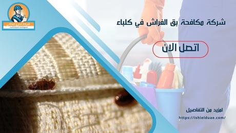 شركة مكافحة بق الفراش في كلباء