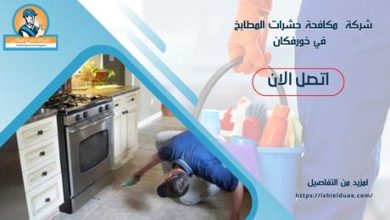 شركة مكافحة حشرات المطابخ في خورفكان
