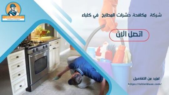 شركة مكافحة حشرات المطابخ في كلباء