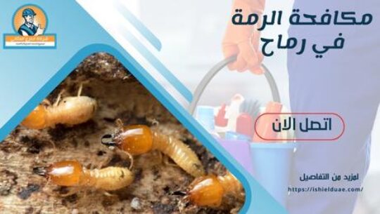 مكافحة الرمة في رماح