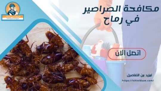 مكافحة الصراصير في رماح