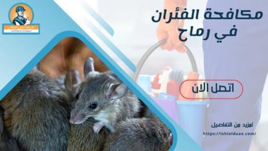 مكافحة الفئران في رماح