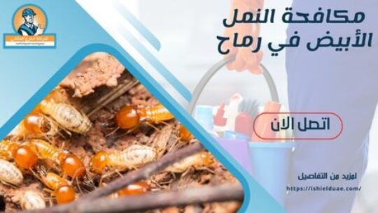 مكافحة النمل الأبيض في رماح