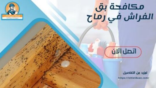 مكافحة بق الفراش في رماح