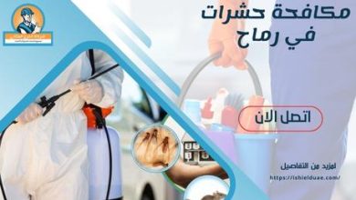 مكافحة حشرات في رماح