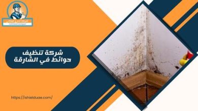 شركة تنظيف حوائط في الشارقة