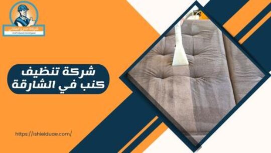شركة تنظيف كنب في الشارقة