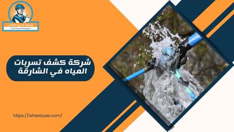 شركة كشف تسربات المياه في الشارقة