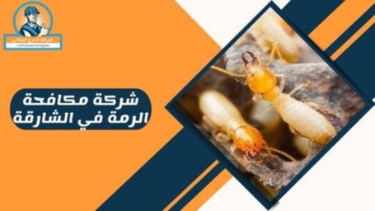 شركة مكافحة الرمة في الشارقة