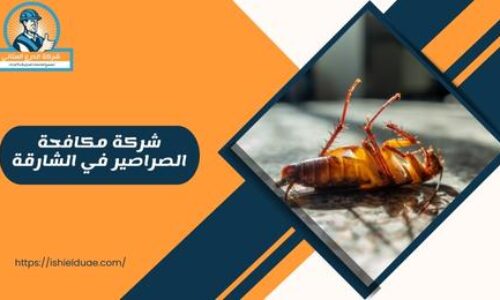 شركة مكافحة الصراصير في الشارقة