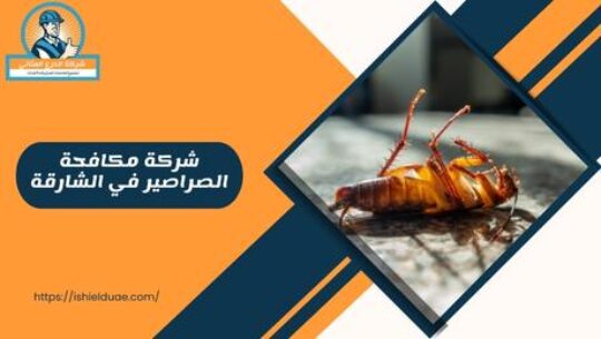 شركة مكافحة الصراصير في الشارقة
