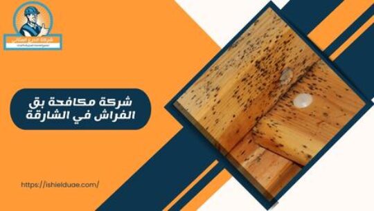 شركة مكافحة بق الفراش في الشارقة