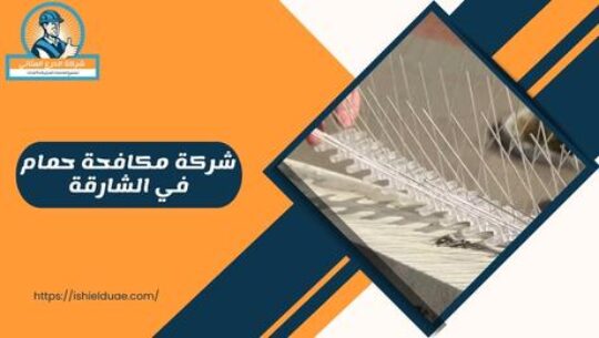 شركة مكافحة حمام في الشارقة