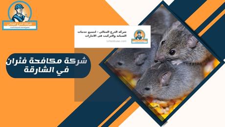 شركة مكافحة فئران في الشارقة