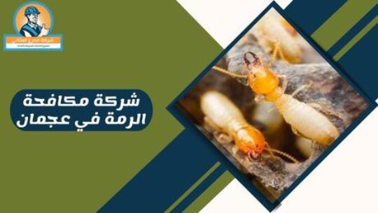 شركة مكافحة الرمة في عجمان