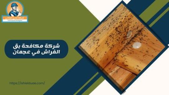 شركة مكافحة بق الفراش في عجمان