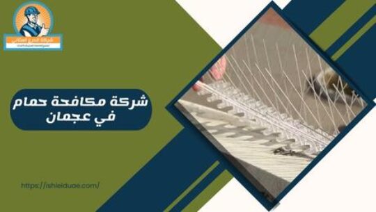 شركة مكافحة حمام في عجمان