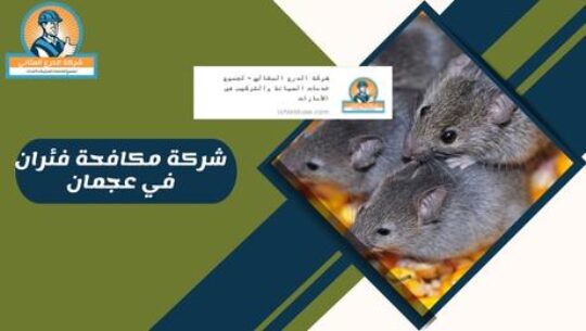 شركة مكافحة فئران في عجمان