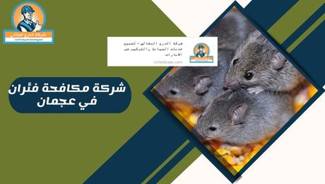 شركة مكافحة فئران في عجمان