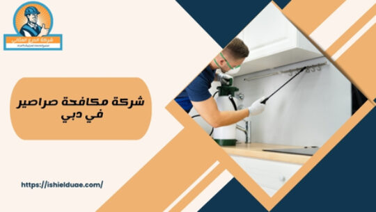 شركة مكافحة صراصير في دبي